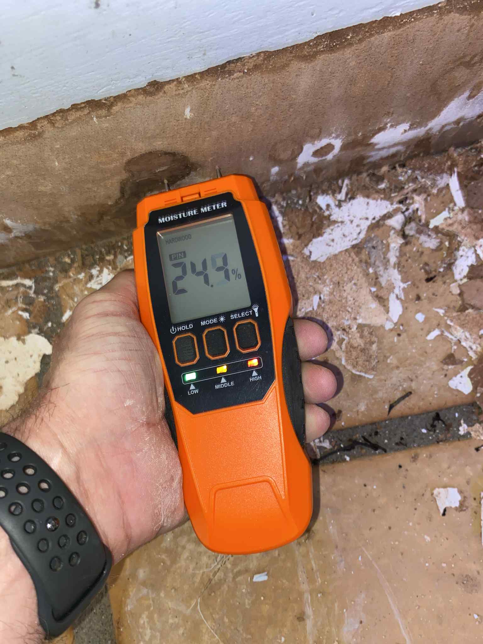damp surveys